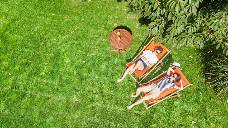 Scène extérieure de jardin avec professionnel en salopette et casquette orange consultant une tablette numérique