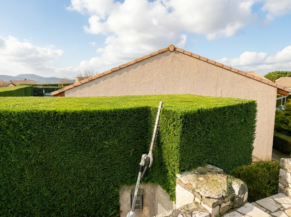 Scène extérieure d'un jardin résidentiel avec haie parfaitement taillée longeant une pelouse verte uniforme sous ciel bleu partiellement nuageux