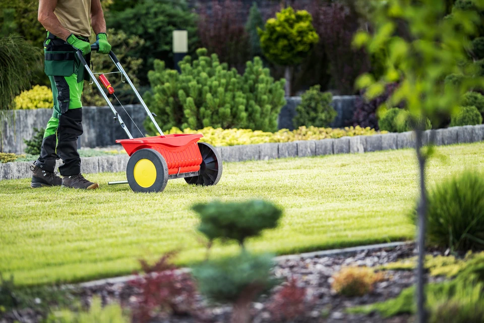 Aménagement paysager d'un jardin résidentiel avec pelouse fraîchement installée, massifs plantés de végétaux d'ornement et paillis sombre