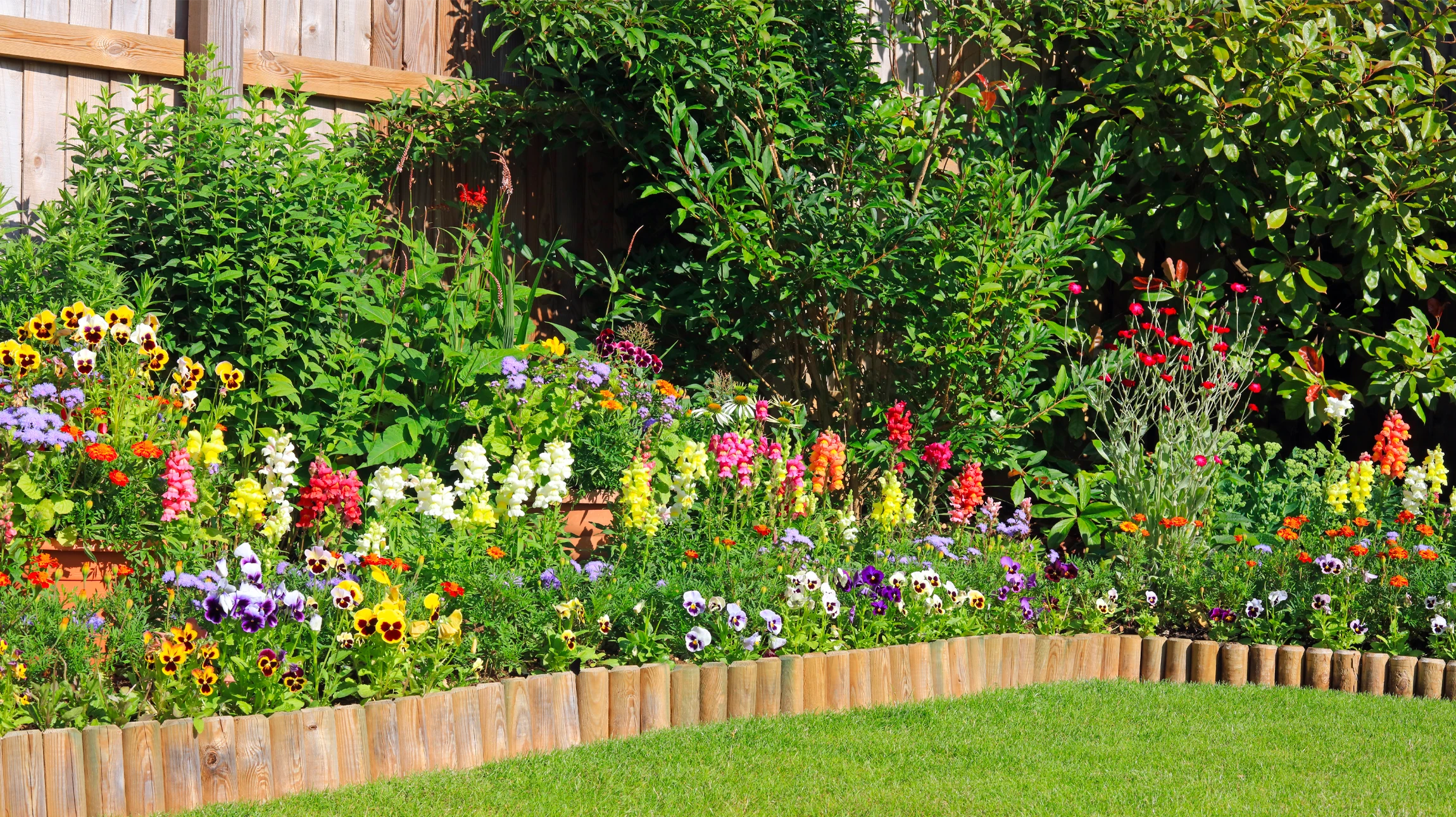 Scène extérieure de jardinage où une personne plante un jeune plant dans un sol préparé