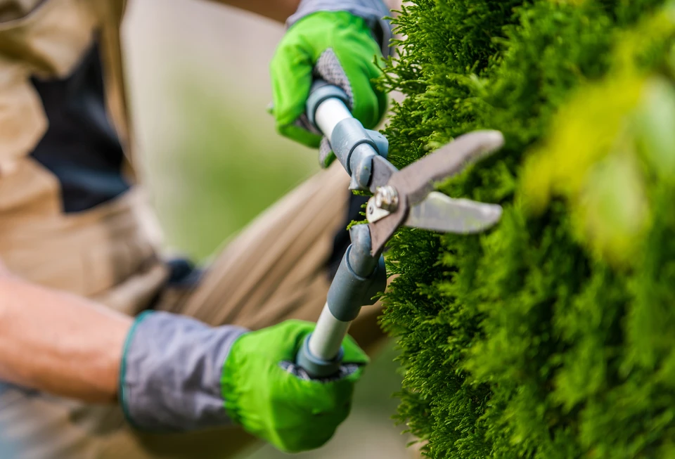 Deux jardiniers professionnels en uniformes haute visibilité verts effectuent l'entretien d'espaces verts extérieurs