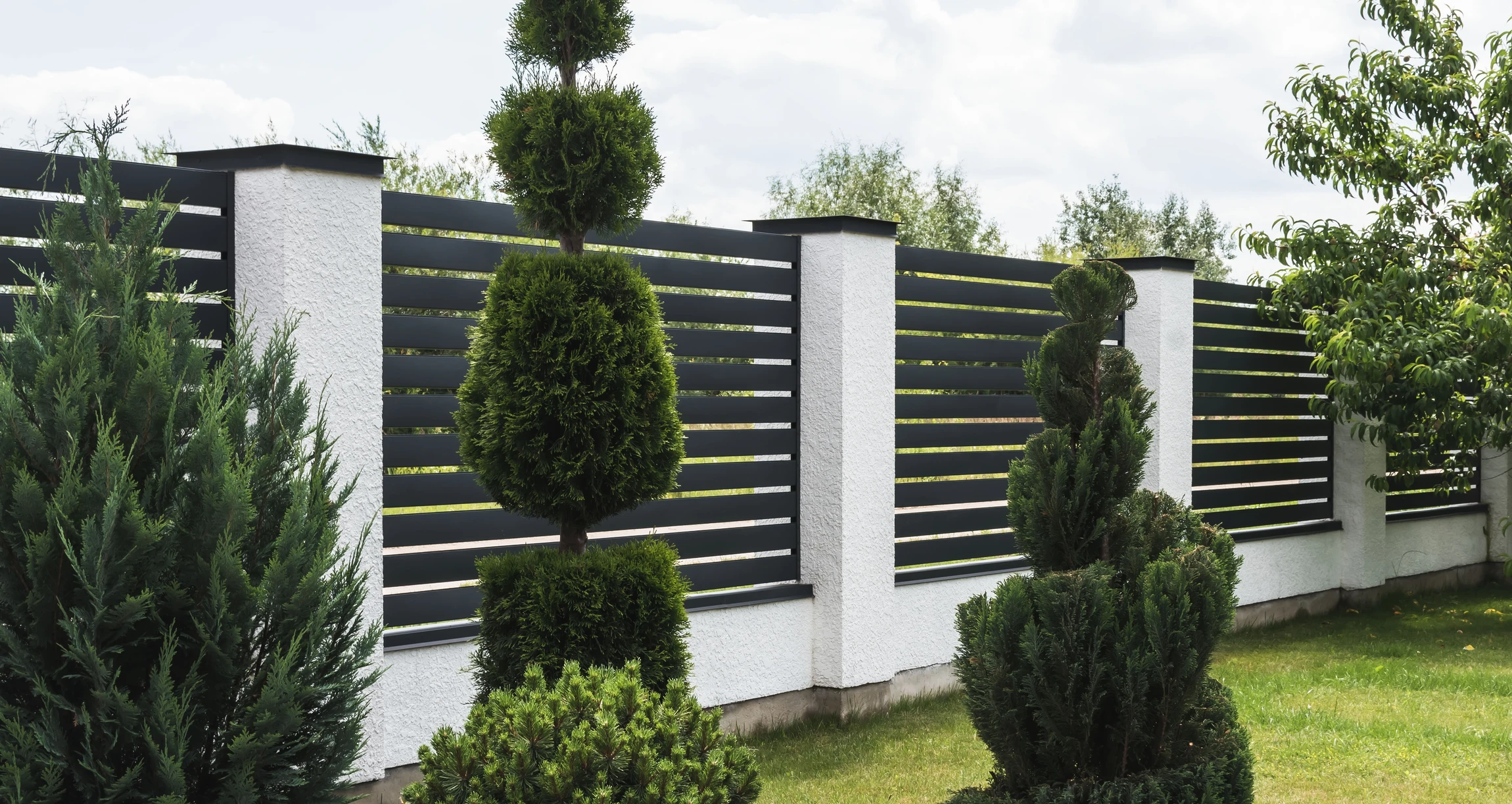 Clôture résidentielle en bois naturel avec treillis décoratif supérieur, bordée d'une rangée d'arbustes conifères alignés