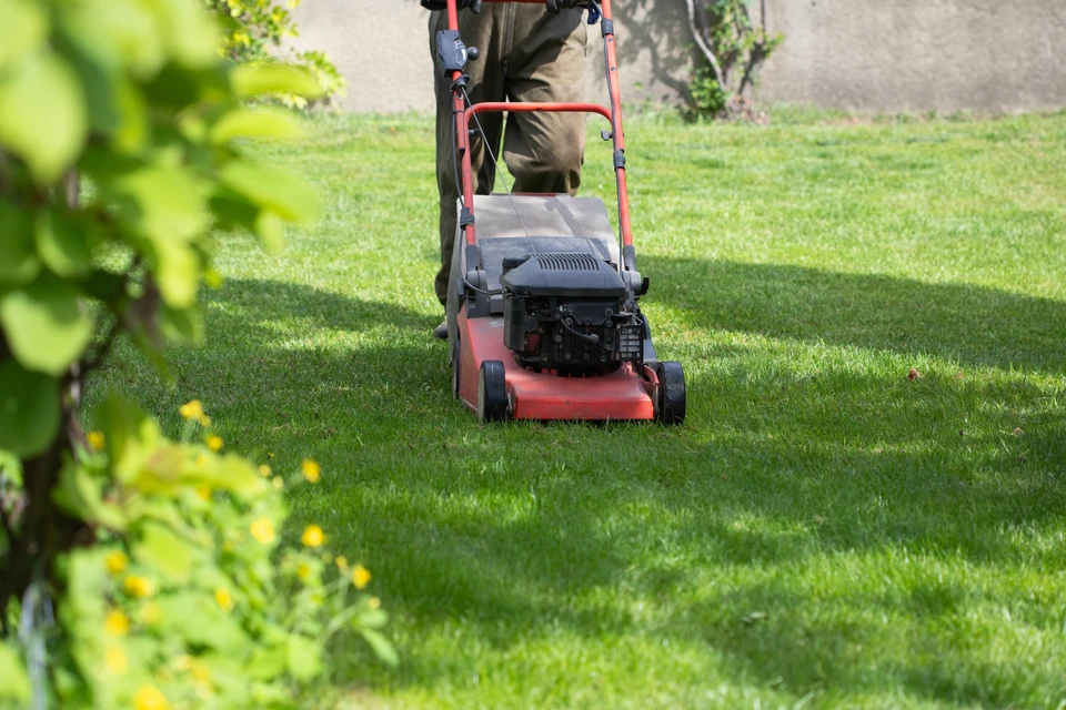 Jardinier professionnel en équipement de sécurité orange utilisant une débroussailleuse thermique pour entretenir une pelouse dans un espace vert paysagé