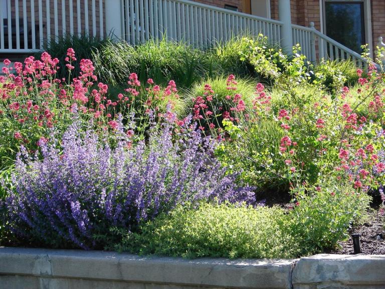 Paysagiste à Plats : conseils pour réussir votre jardin